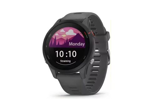 Garmin Forerunner 255
