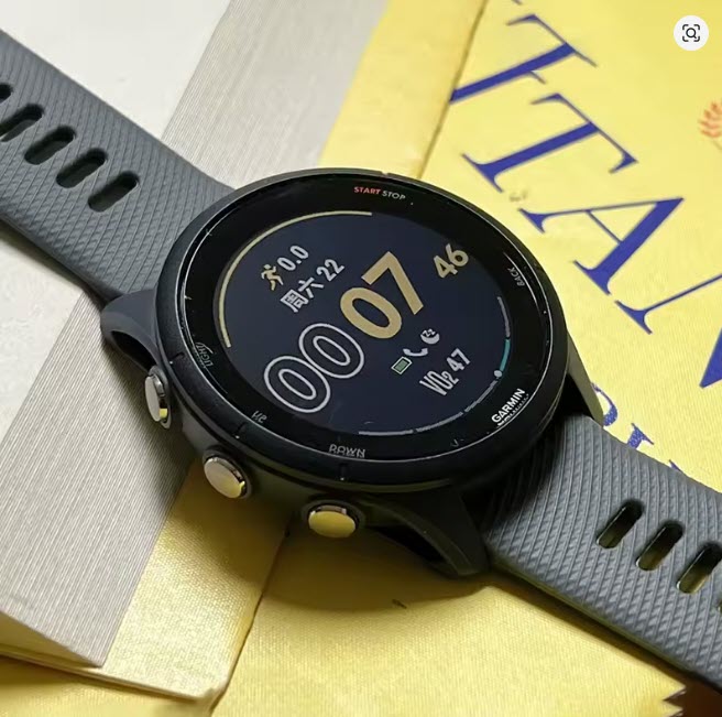 Garmin Forerunner 255