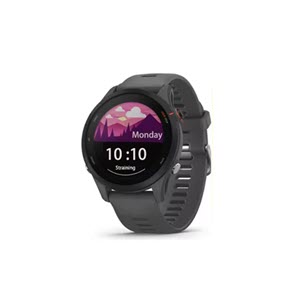 Garmin Forerunner 255
