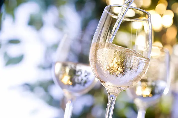 mejores vinos blancos