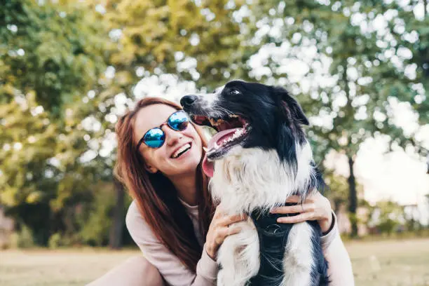 Arneses para Perros