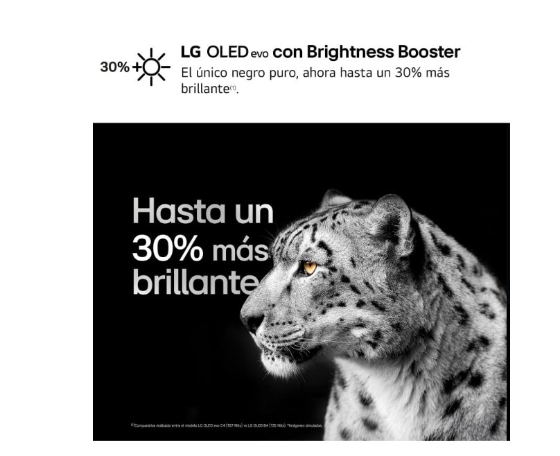 TV LG OLED65