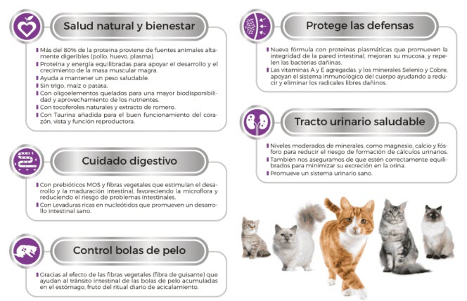 Comida Gatos Picart Nutribest