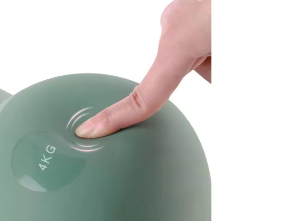 ALLINLIFE Pesa Rusa 4kg
