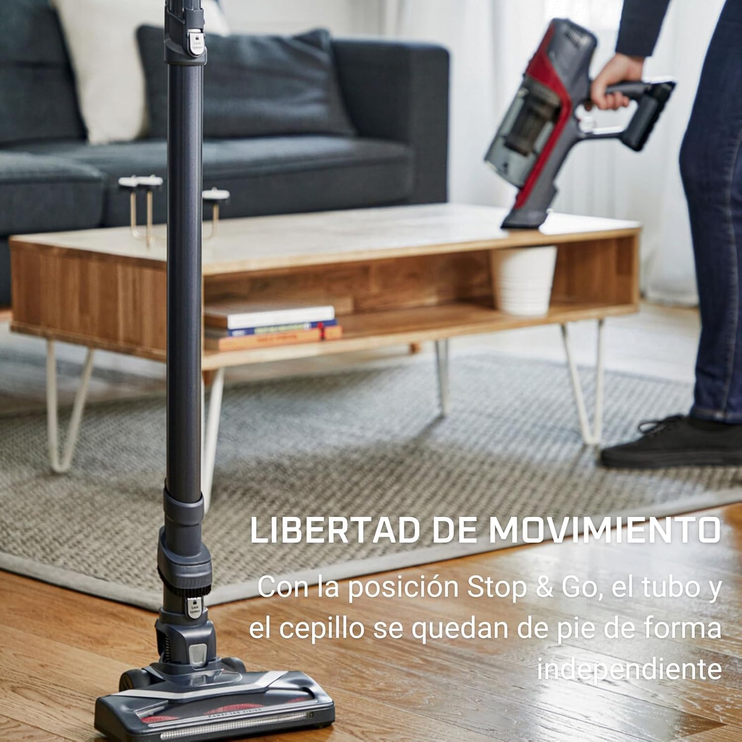 Aspiradora Rowenta XPert 6.60