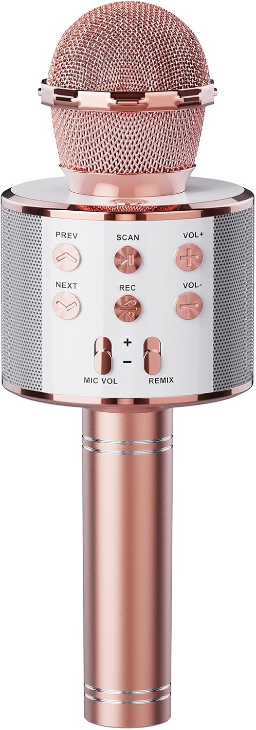 micrófonos de karaoke
