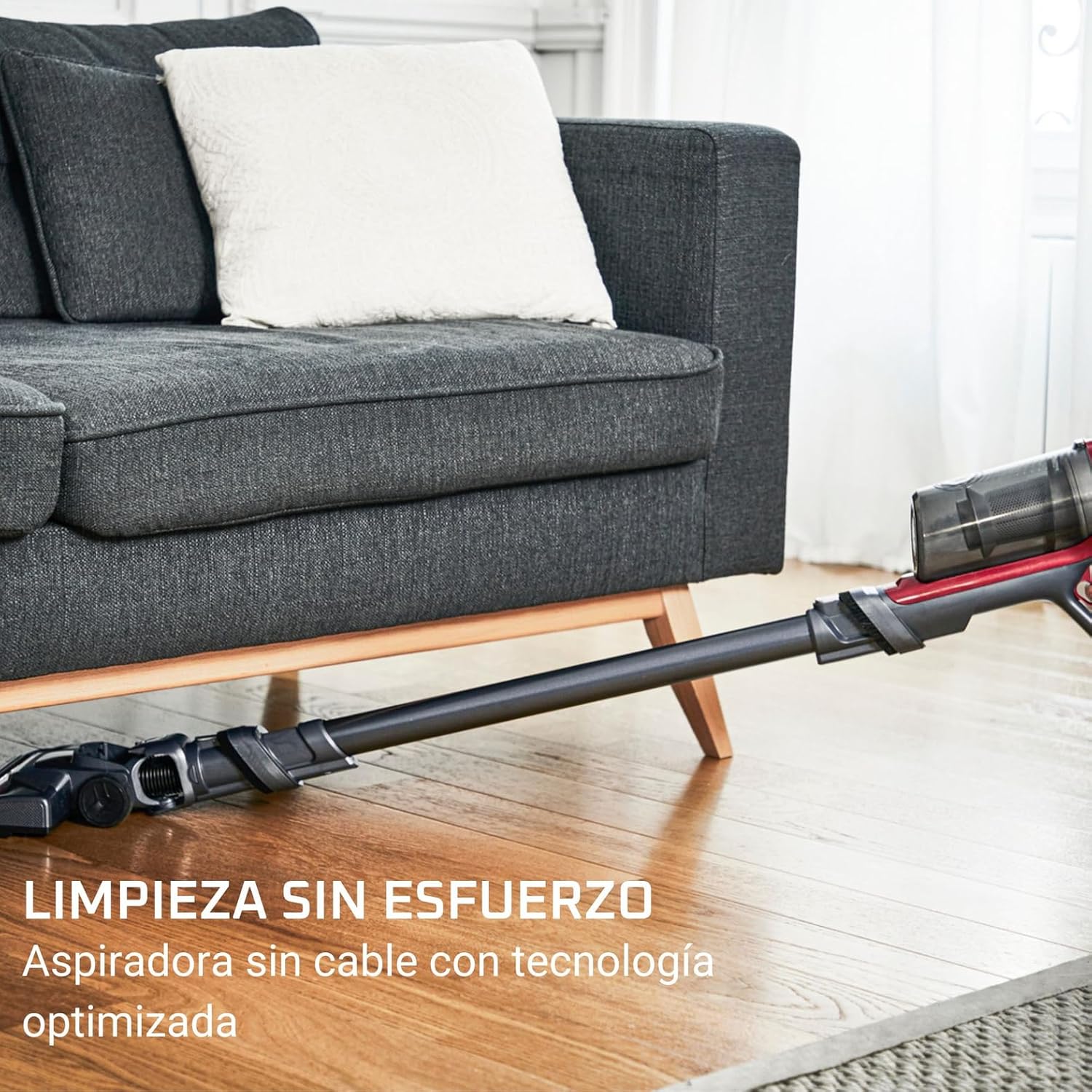 Aspiradora Rowenta XPert 6.60