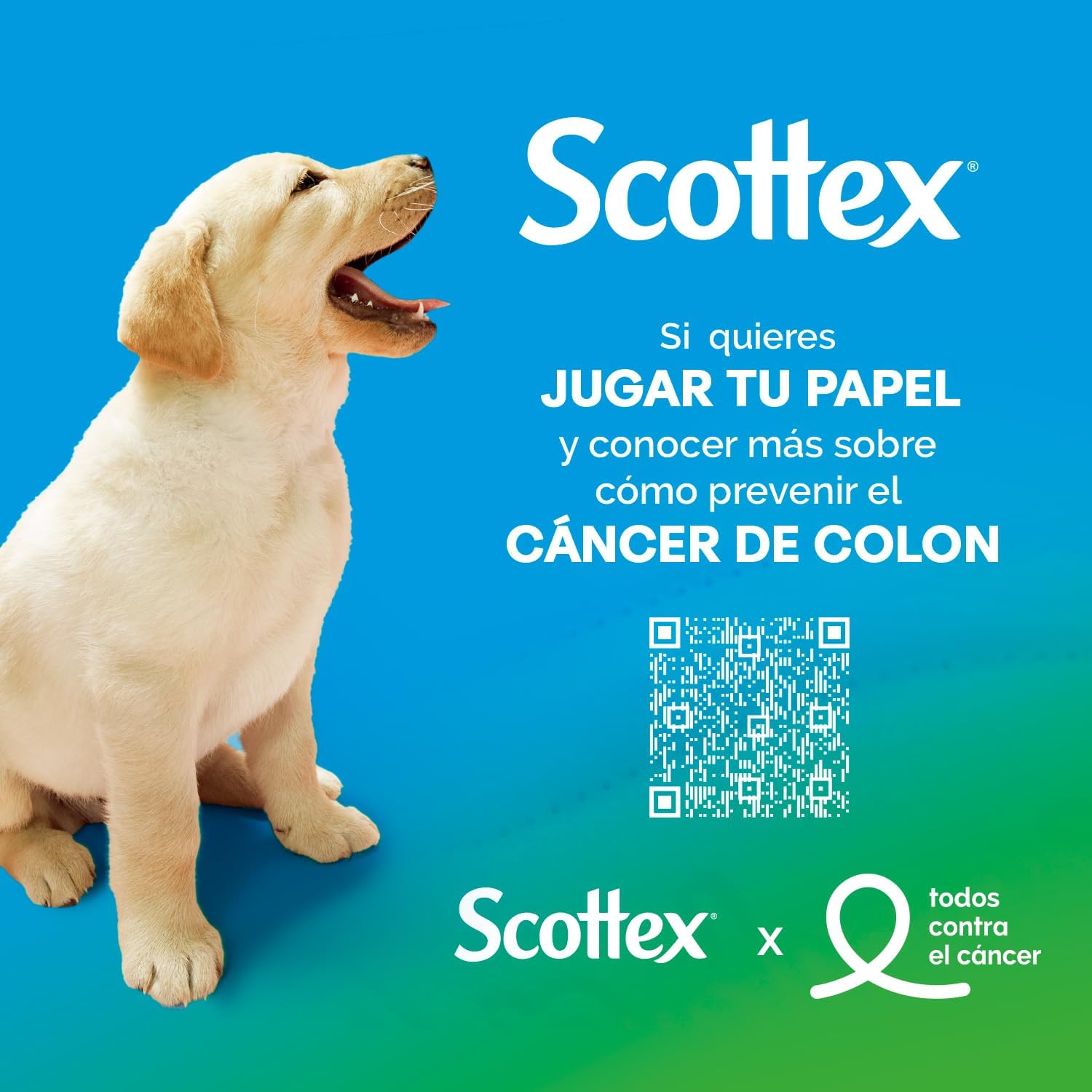 Papel higiénico Scottex 8 rollos 7 PACK