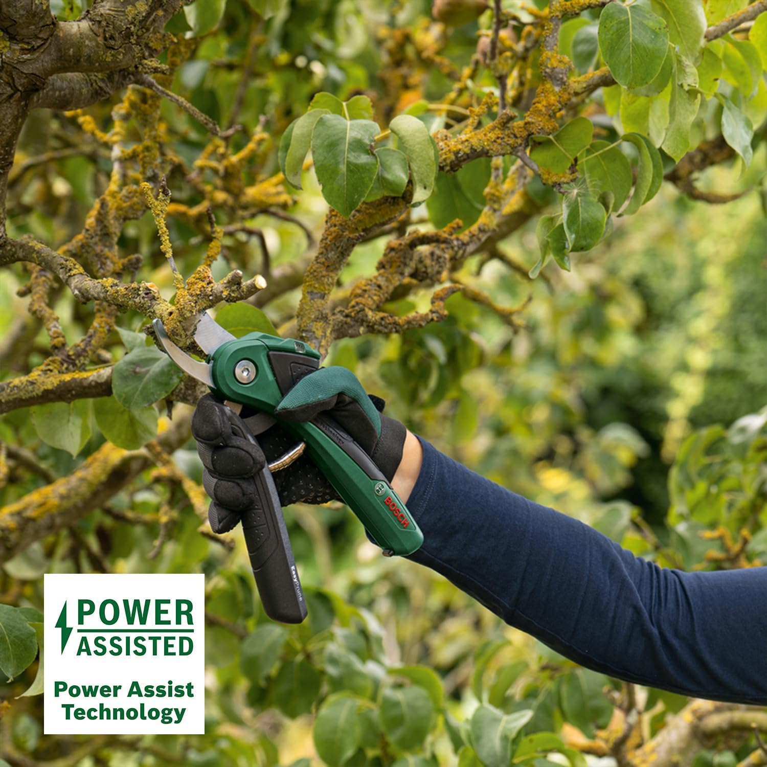 Tijeras de podar Bosch EasyPrune
