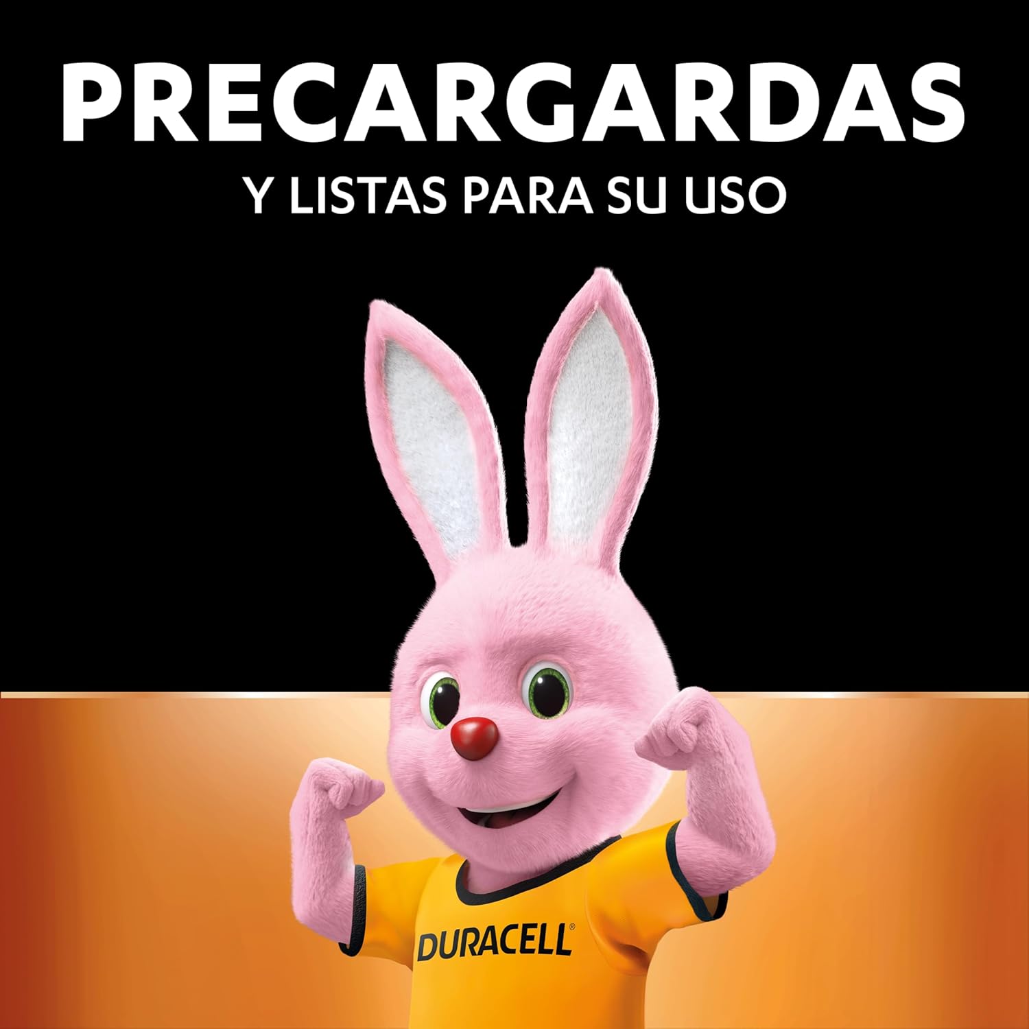 Pack 4 Duracell pilas recargables AAA