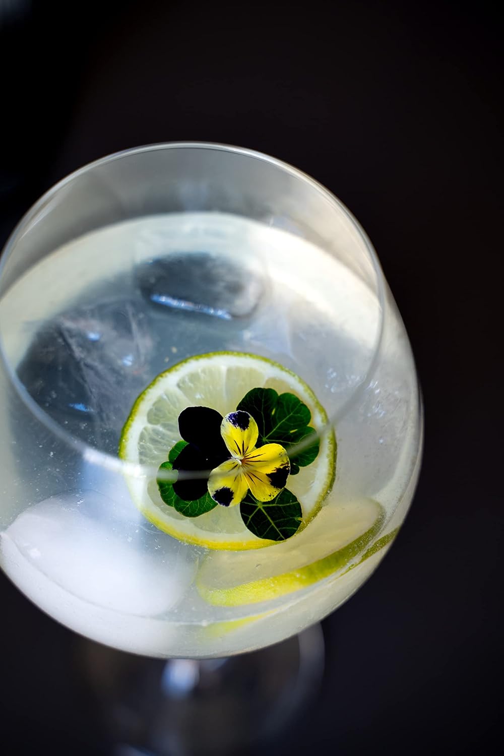 ginebra