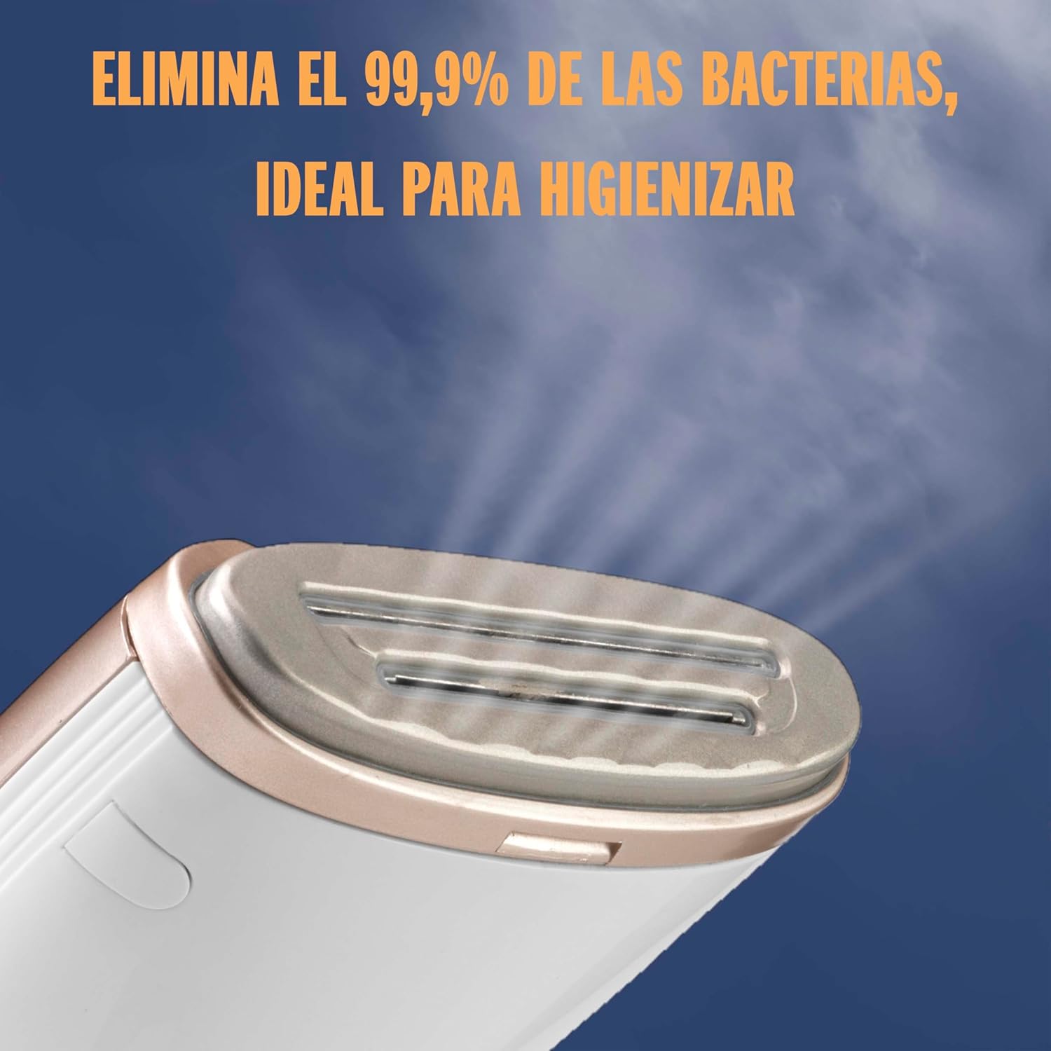 Plancha de vapor vertical Conair