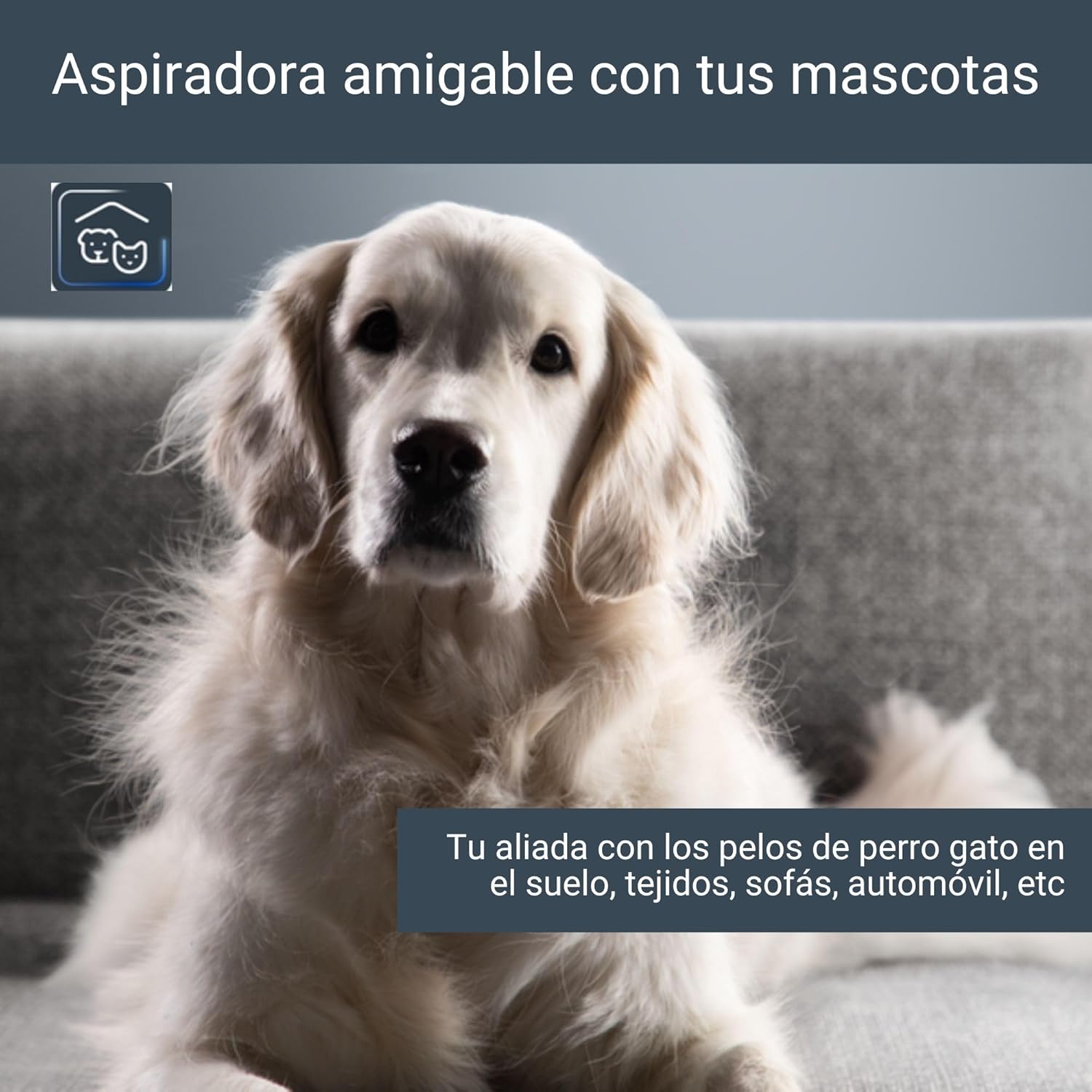 Aspiradora Rowenta XPert 6.60