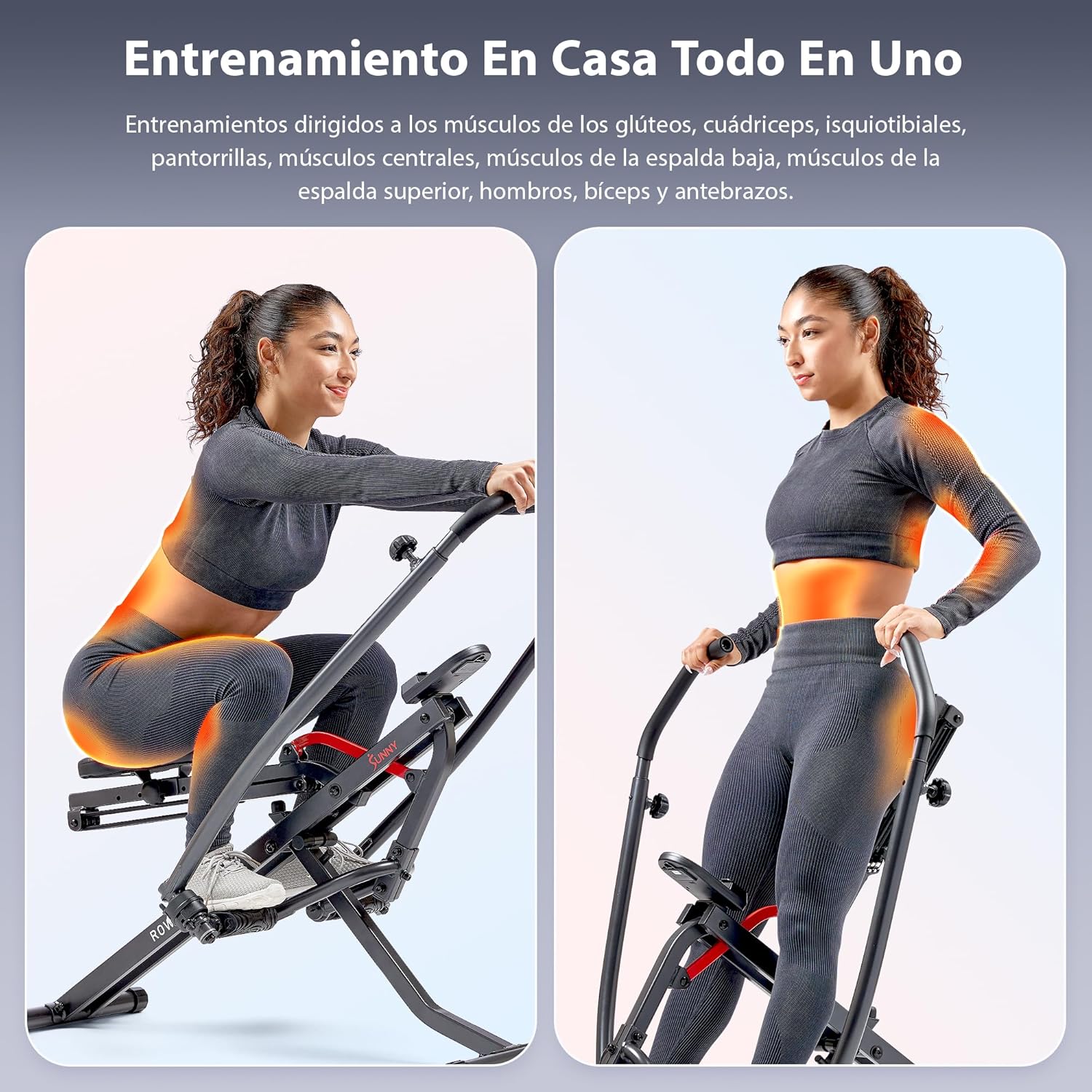 Sunny Health Fitness Entrenador Remo