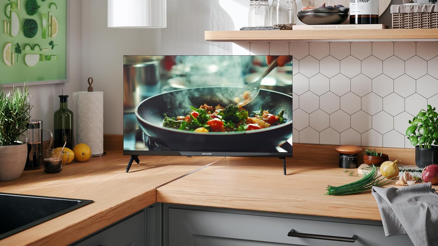 TV Sharp 24HA12