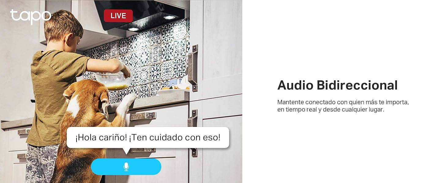 Tapo TP Link Cámara C110
