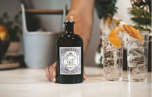 ginebra Monkey 47