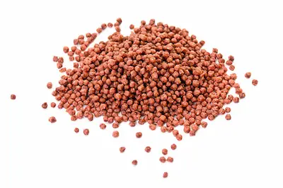 Los Mejores Alimentos para Mascotas