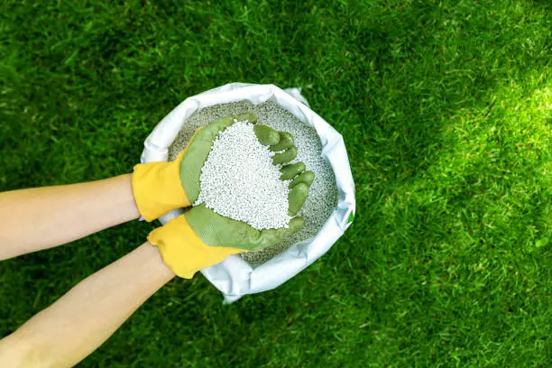 Mejores Fertilizantes de Plantas