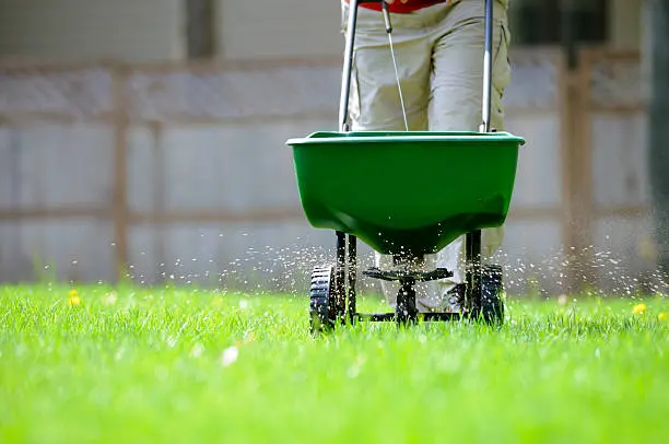 Mejores Fertilizantes para Plantas