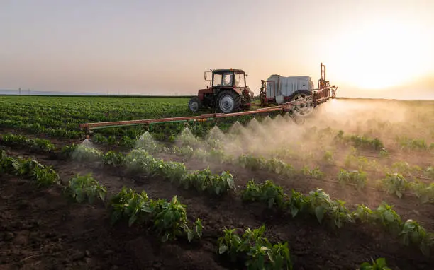 Mejores Fertilizantes para Plantas