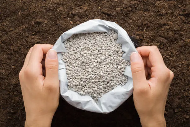 Mejores Fertilizantes de Plantas