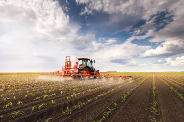 Mejores fertilizantes para plantas