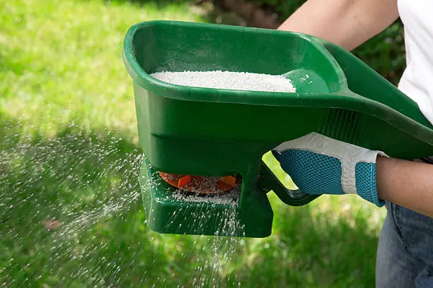 Mejores Fertilizantes de Plantas