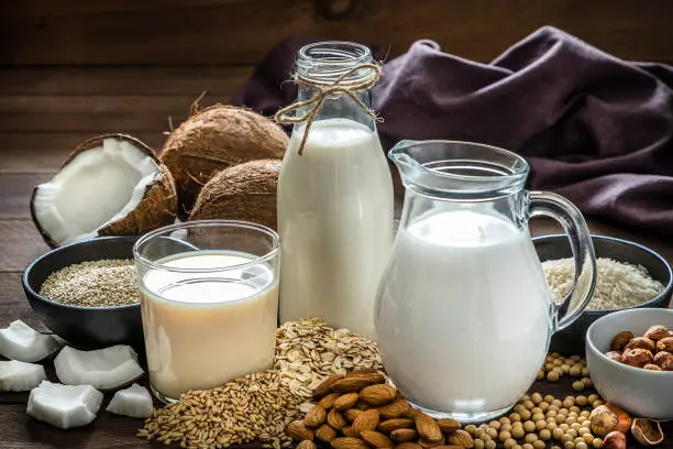 Productos Vegetarianos 28