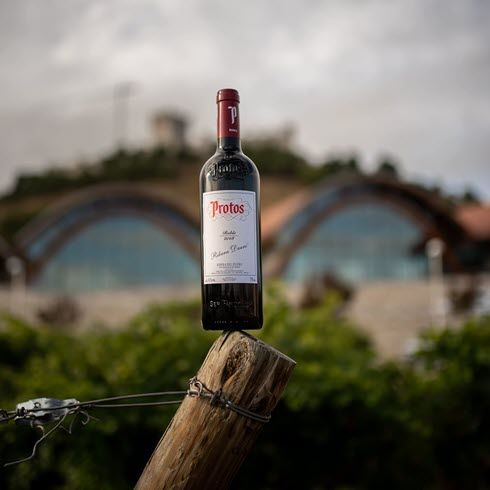 Protos vino tinto Ribera de Duero 7