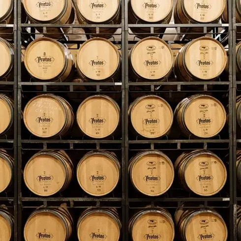 Protos vino tinto Ribera de Duero 7