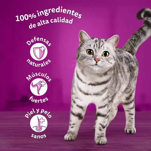 Comida para Gatos Whiskas