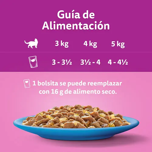 Comida para Gatos Whiskas