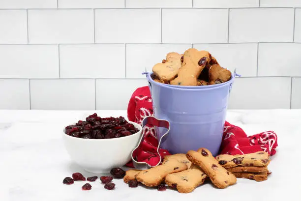 Los Mejores Alimentos para Mascotas