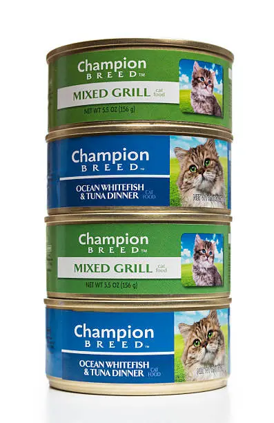 Los Mejores Alimentos para Mascotas