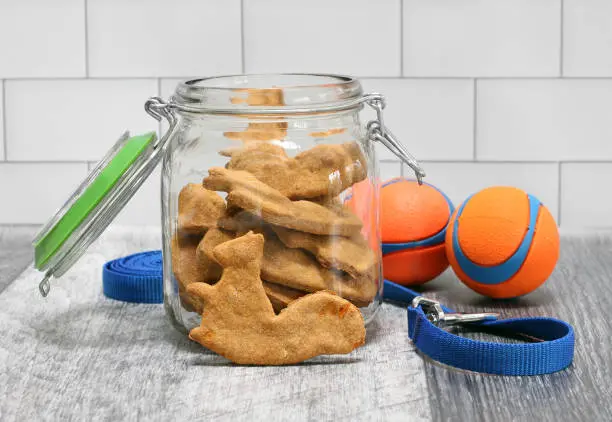 Los Mejores Alimentos para Mascotas