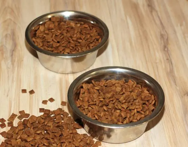 Los Mejores Alimentos para Mascotas