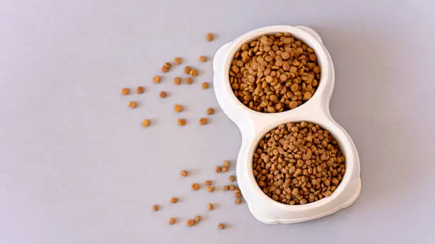 Los Mejores Alimentos para Mascotas