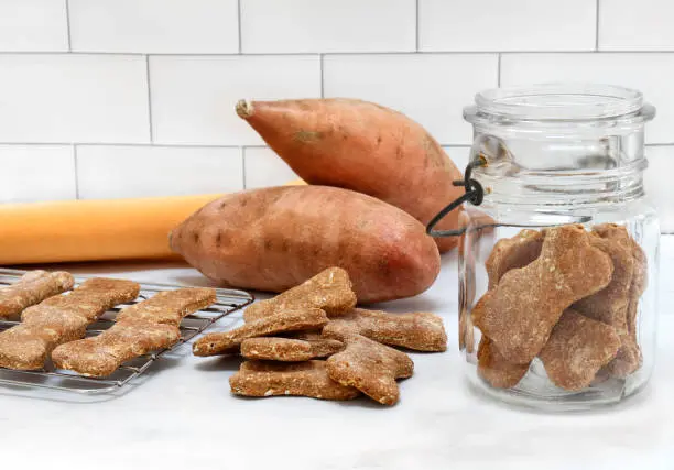 Los Mejores Alimentos para Mascotas
