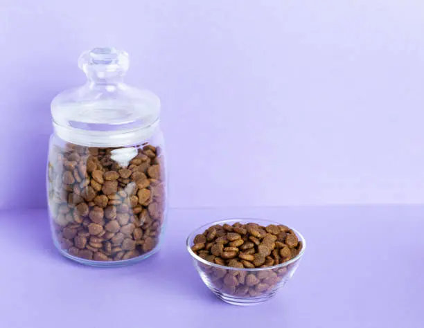Los Mejores Alimentos para Mascotas
