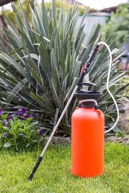 Mejores Fertilizantes para Plantas