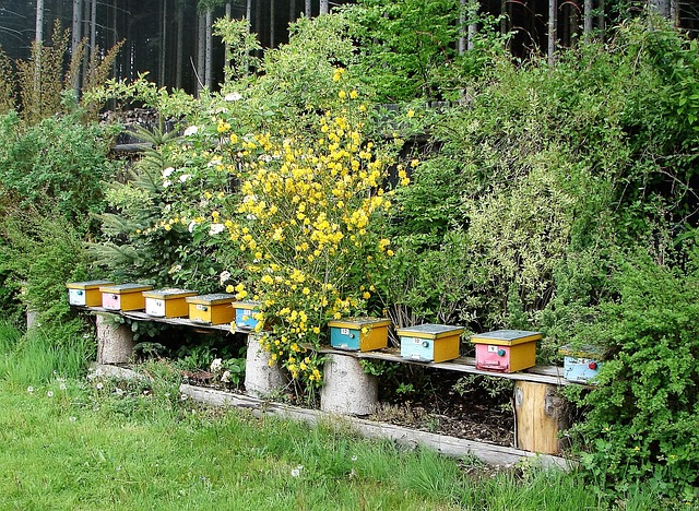 Mejores Fertilizantes para Plantas