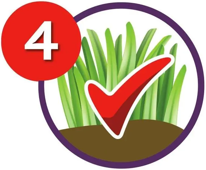 Mejores Fertilizantes de Plantas