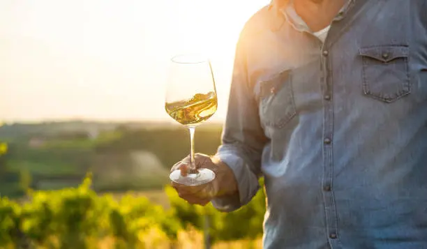 mejores vinos blancos