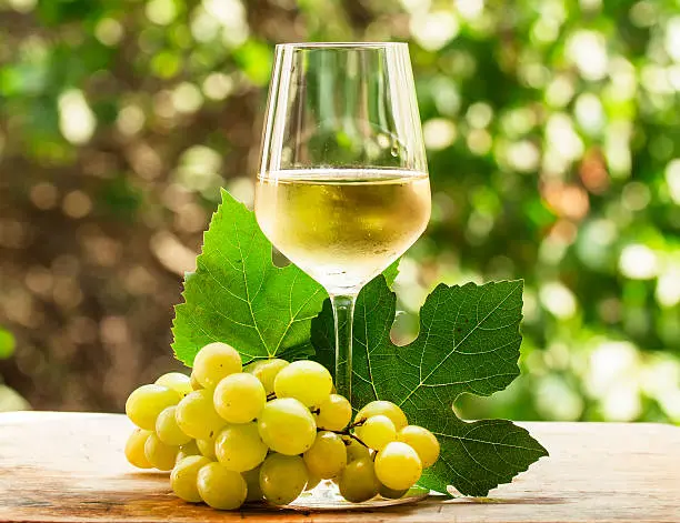 mejores vinos blancos