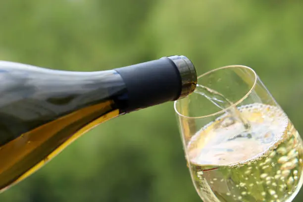 mejores vinos blancos