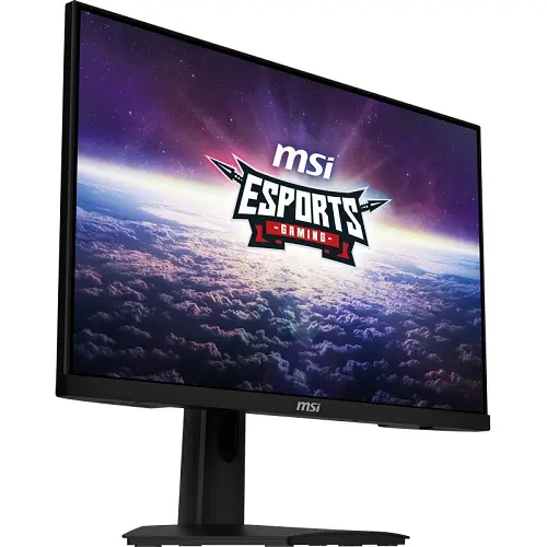 Monitor MSI LED