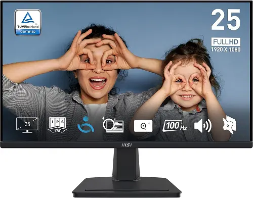 MSI PRO MP251