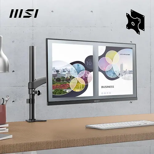 MSI PRO MP251