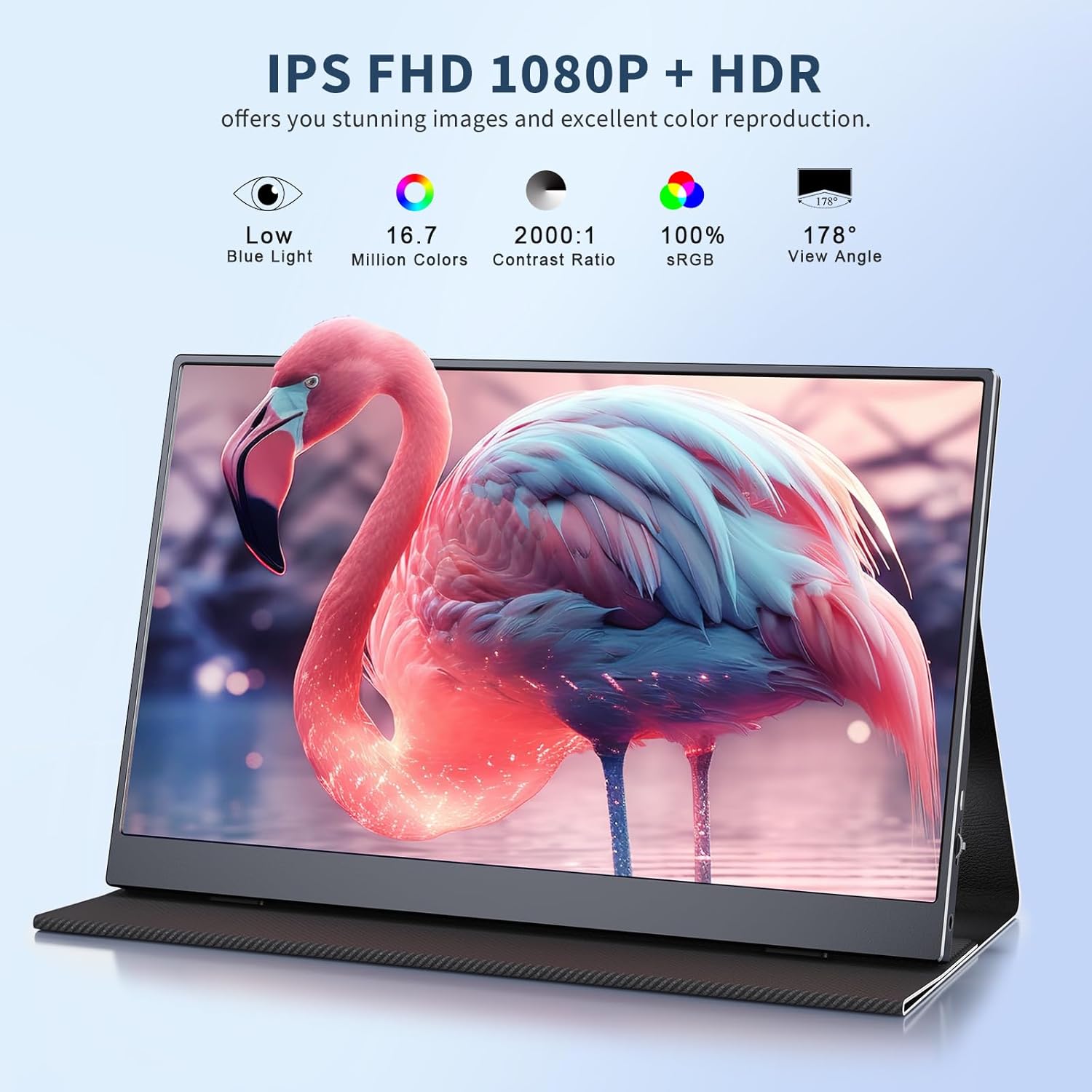 monitor portatil